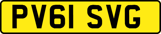 PV61SVG