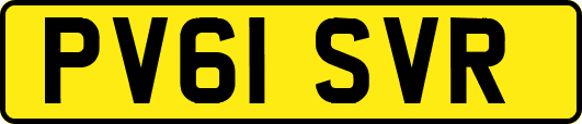 PV61SVR