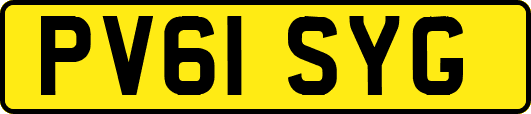 PV61SYG
