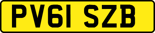 PV61SZB