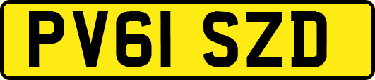 PV61SZD