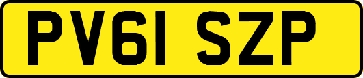 PV61SZP