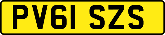 PV61SZS