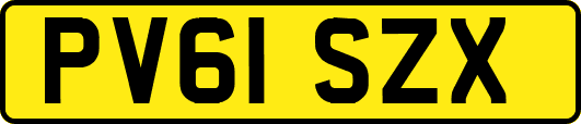 PV61SZX