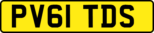 PV61TDS