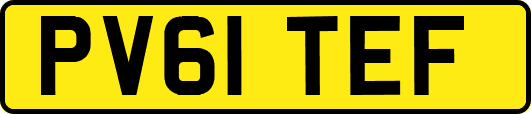 PV61TEF