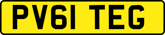 PV61TEG