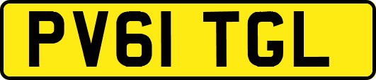 PV61TGL
