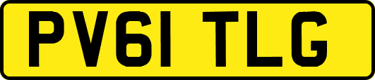 PV61TLG