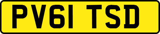 PV61TSD