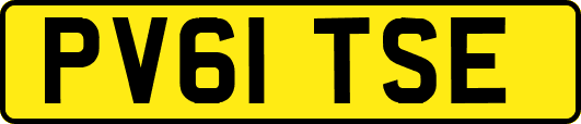 PV61TSE