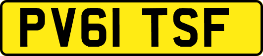 PV61TSF