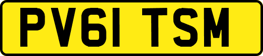 PV61TSM