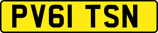 PV61TSN