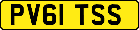 PV61TSS