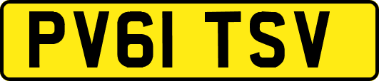PV61TSV