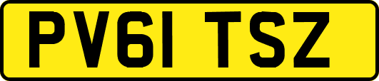 PV61TSZ