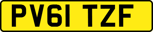 PV61TZF