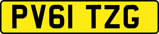 PV61TZG