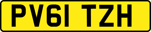PV61TZH