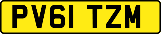 PV61TZM