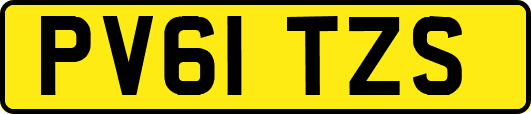 PV61TZS