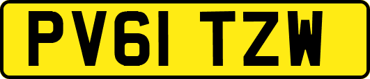 PV61TZW