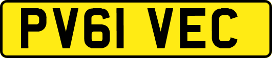 PV61VEC