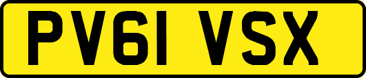 PV61VSX