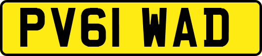 PV61WAD