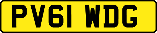PV61WDG