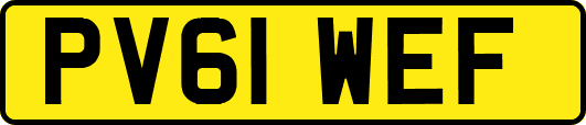 PV61WEF