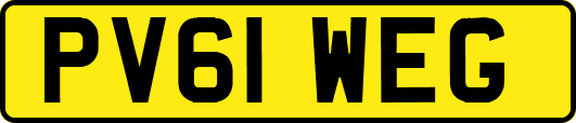 PV61WEG