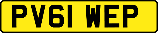 PV61WEP