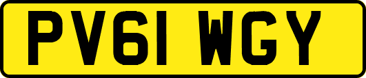 PV61WGY