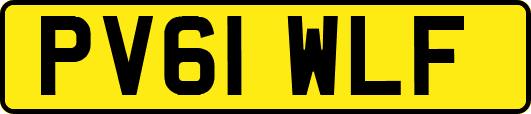 PV61WLF