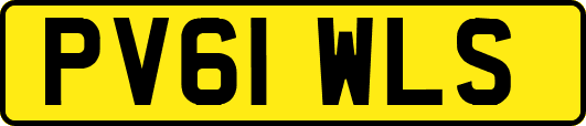 PV61WLS
