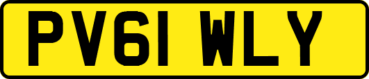 PV61WLY