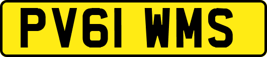 PV61WMS