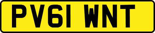 PV61WNT