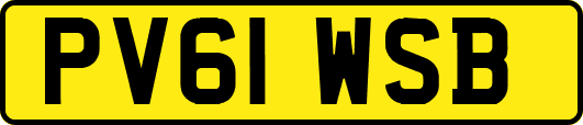 PV61WSB