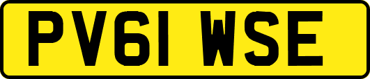 PV61WSE