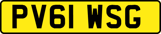 PV61WSG