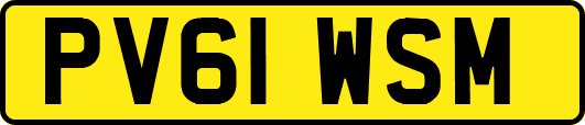 PV61WSM