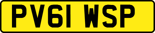 PV61WSP