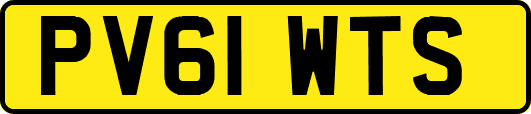 PV61WTS