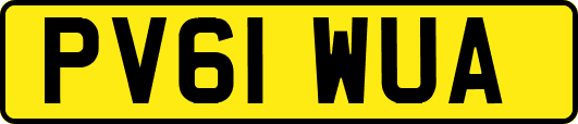 PV61WUA