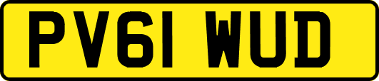 PV61WUD
