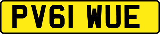 PV61WUE