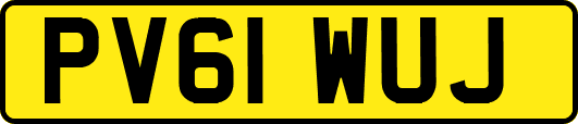 PV61WUJ